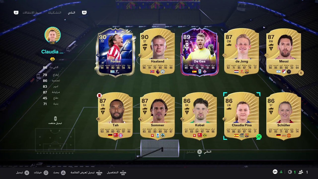 فيفا رايفيلز