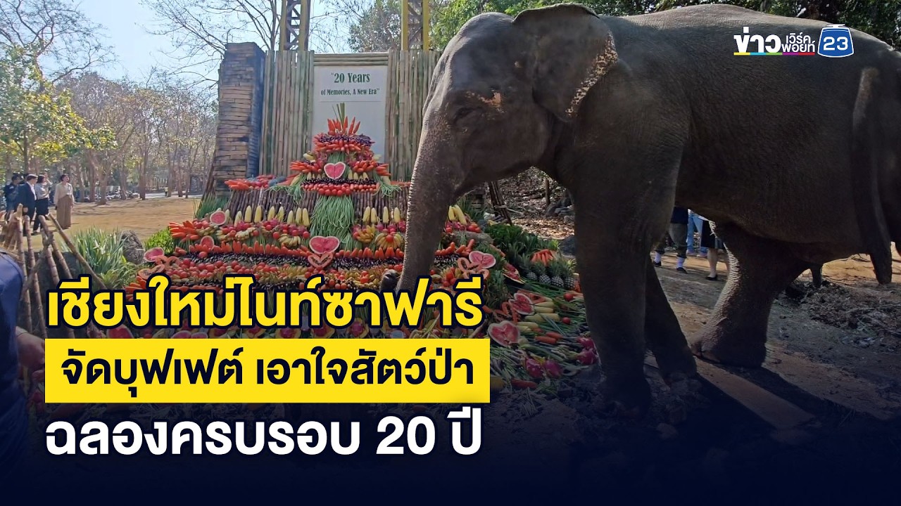 เชียงใหม่ไนท์ซาฟารีจัดบุฟเฟต์ เอาใจสัตว์ป่าฉลองครบรอบ 20 ปี