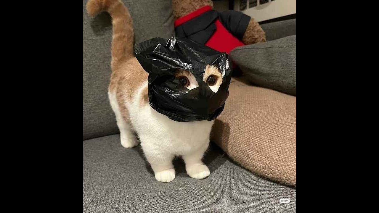 4 hari lagi puasaaaa