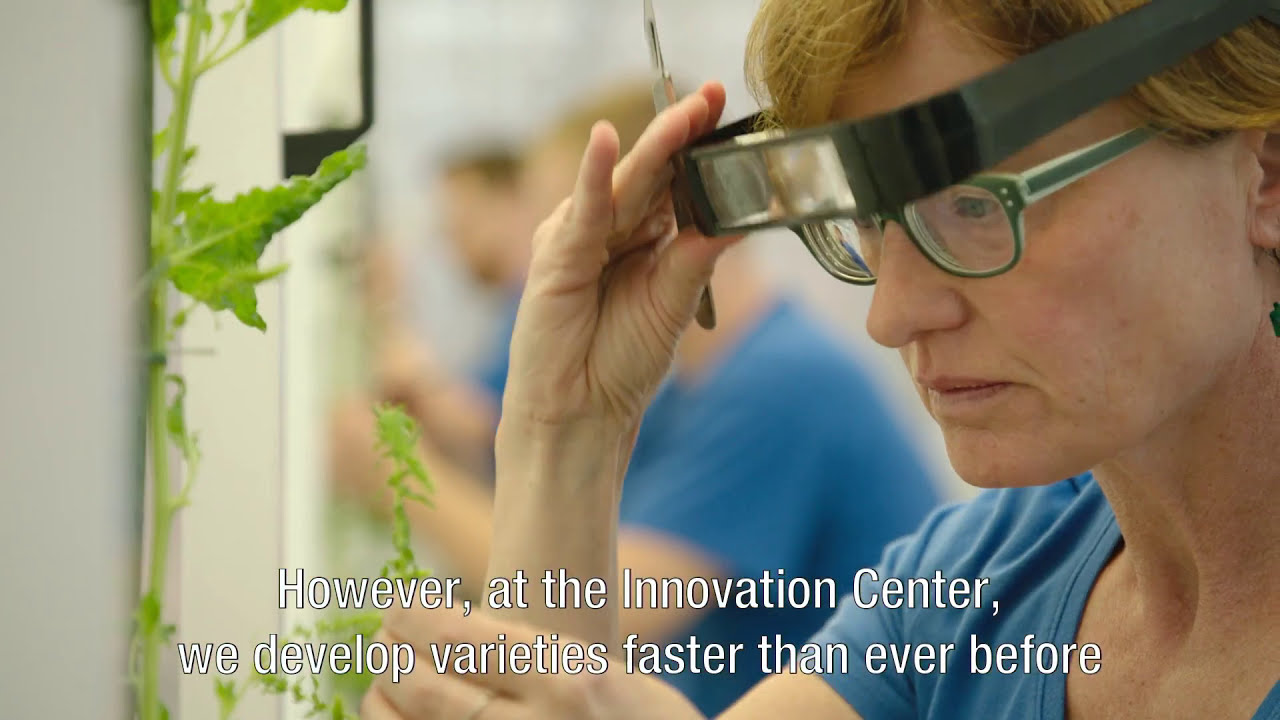 SESVanderHave Innovation Center - ENG