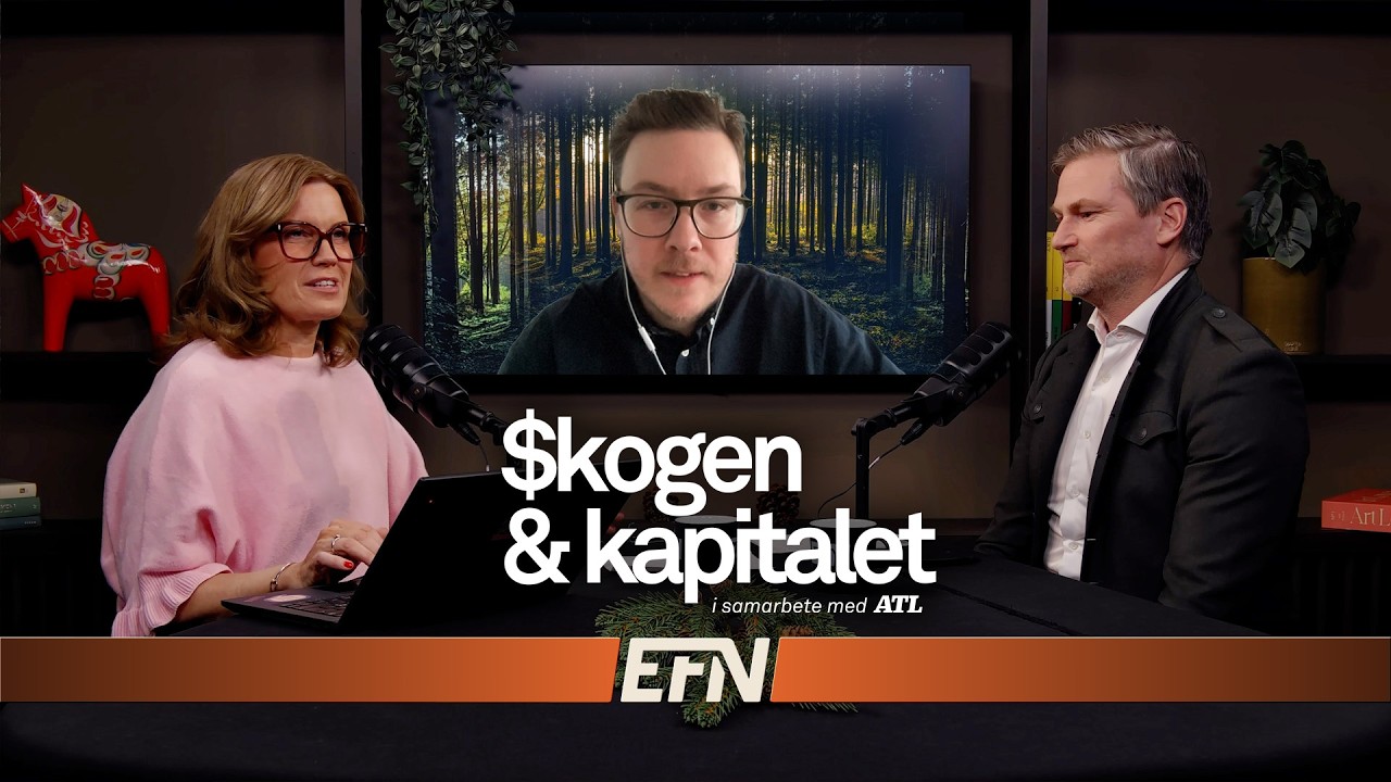 Gärningsmannaprofilen: så agerar framgångsrika skogsköpare