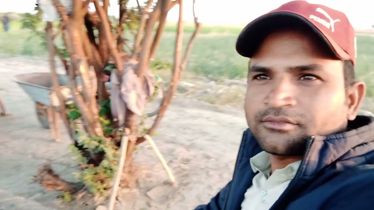 A view of an agricultural farm in Surachand village which is very close to the India-Pakistan border