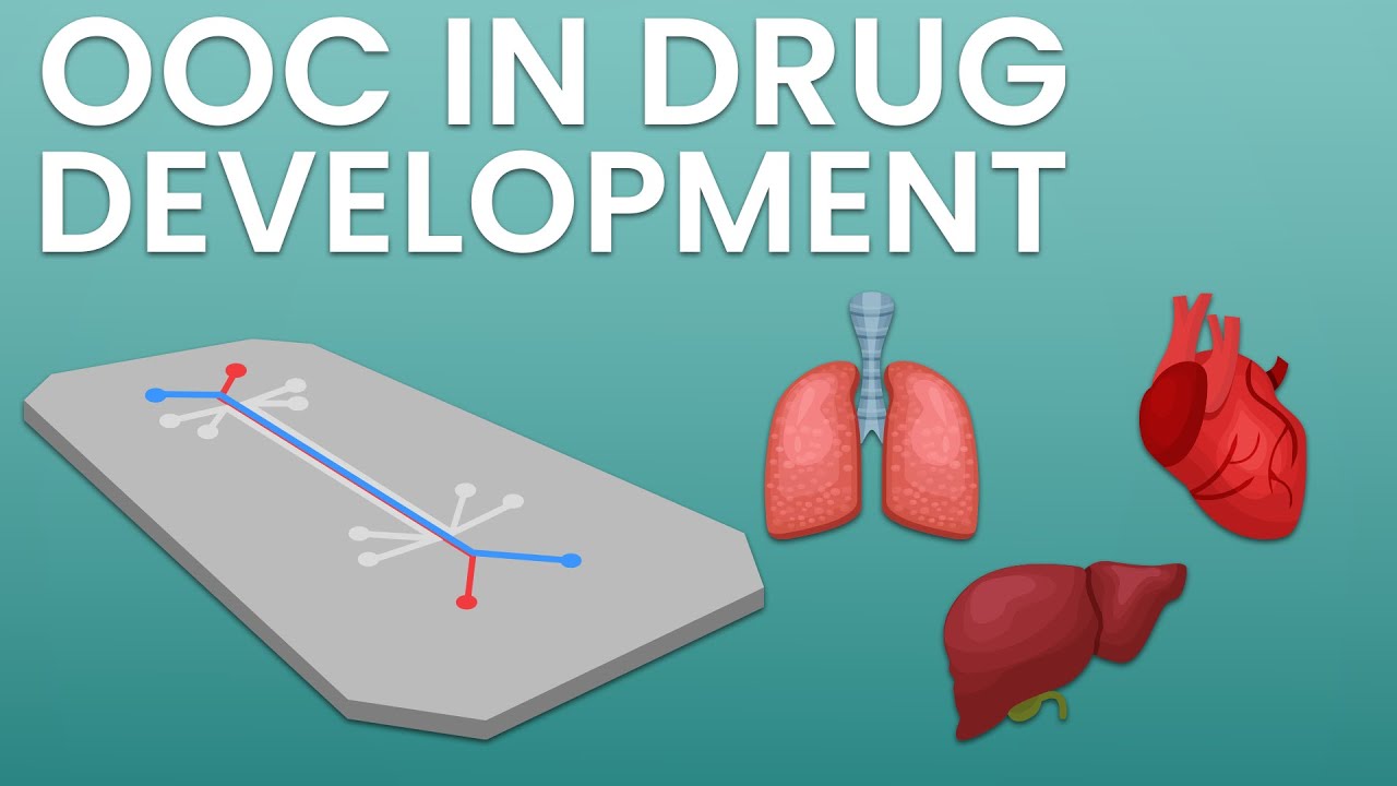 Organ-on-a-chip technology in drug development
