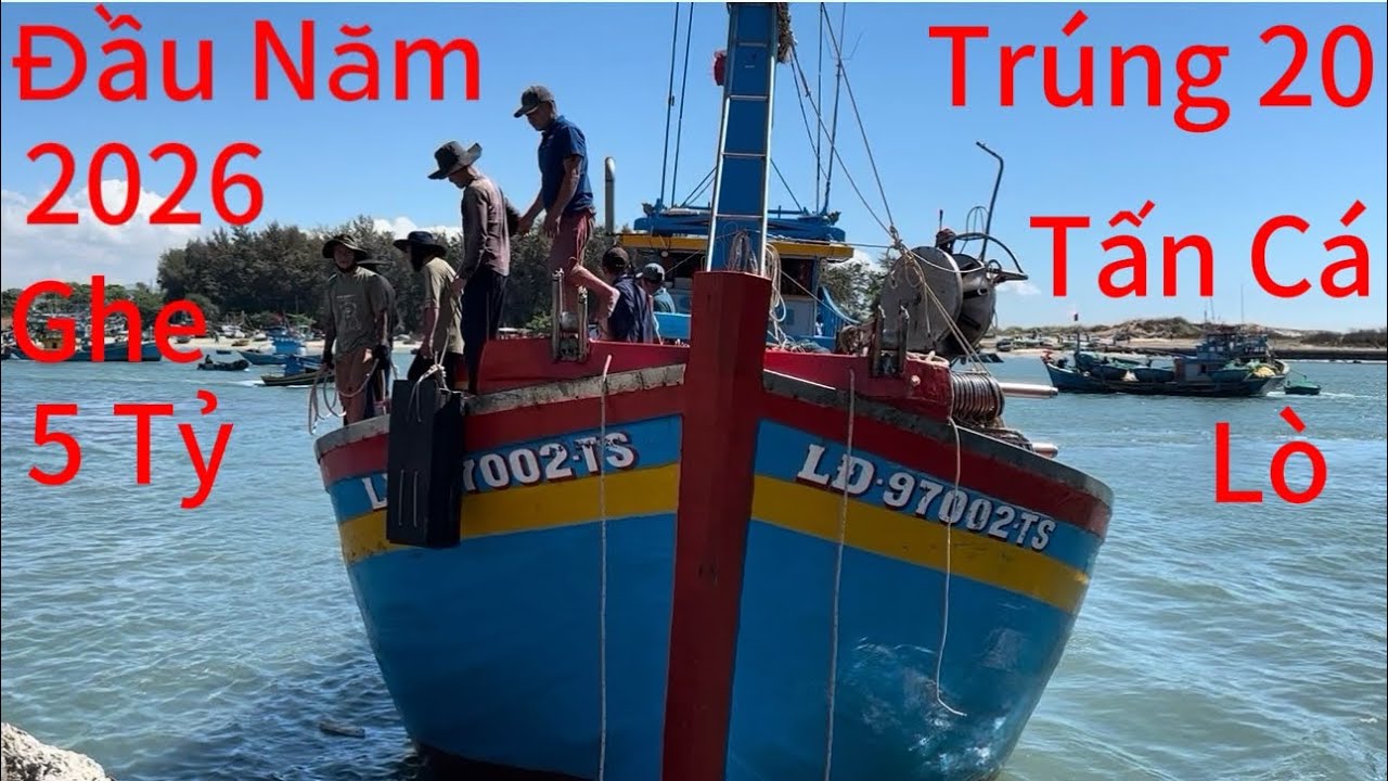 Đầu Năm 2026-Ghe (5)Tỷ Lưới Rút Của Ngư Dân LaGi Tỉnh Lâm Đồng Trúng-20-Tấn Cá Lò Về Cảng Lagi 