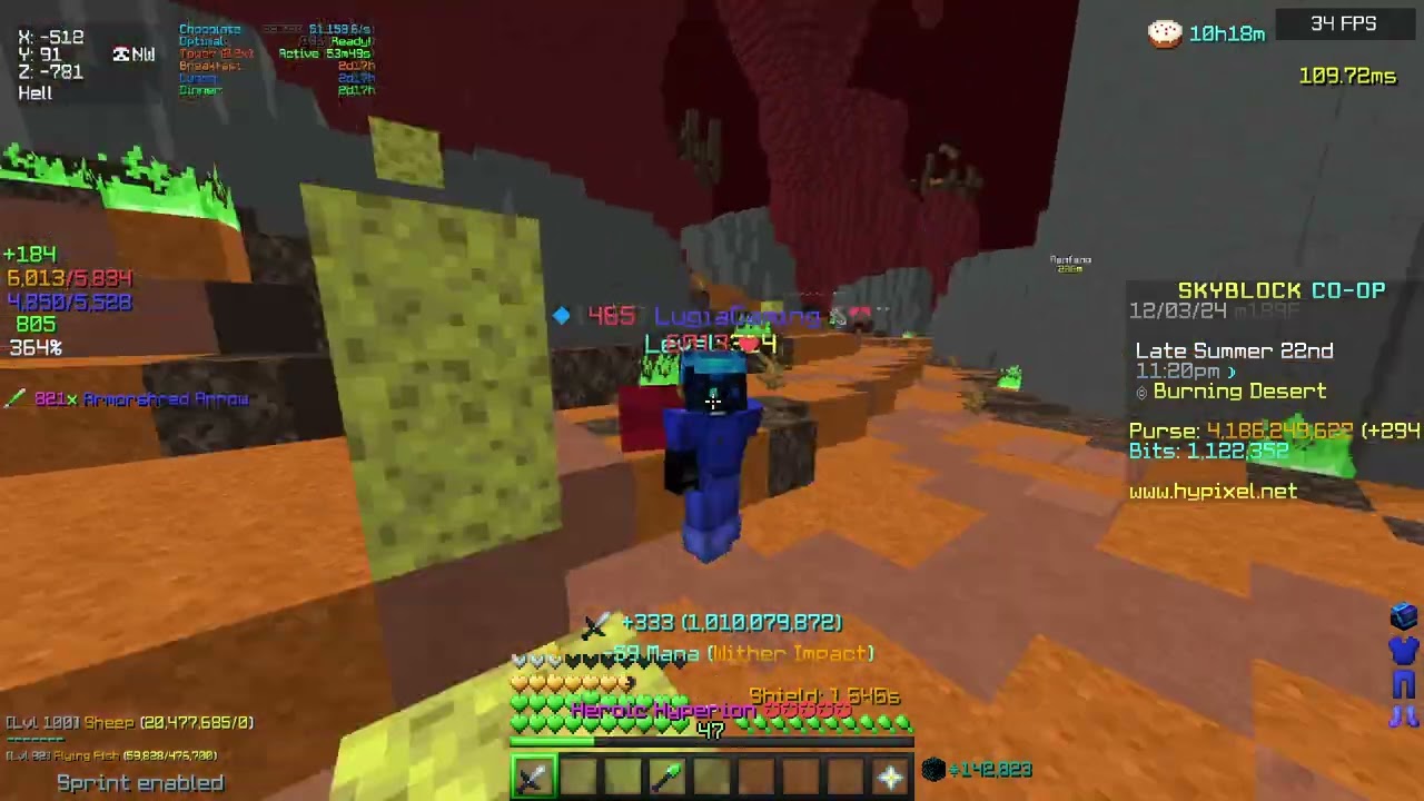 video ends when i max skyblock xp (minus hoppity)