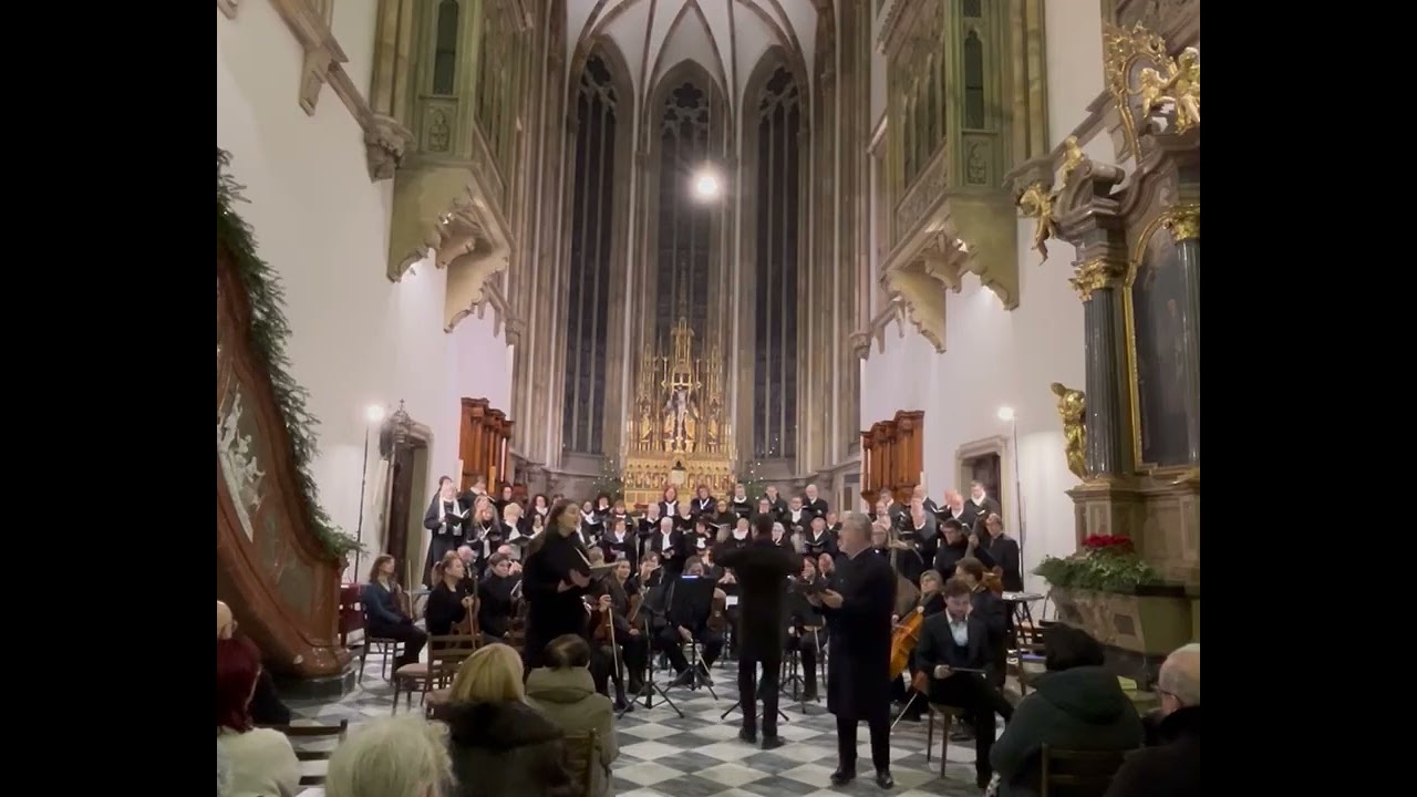 Vánoční koncert, katedrála sv. Petra a Pavla v Brně, 4.ledna 2025