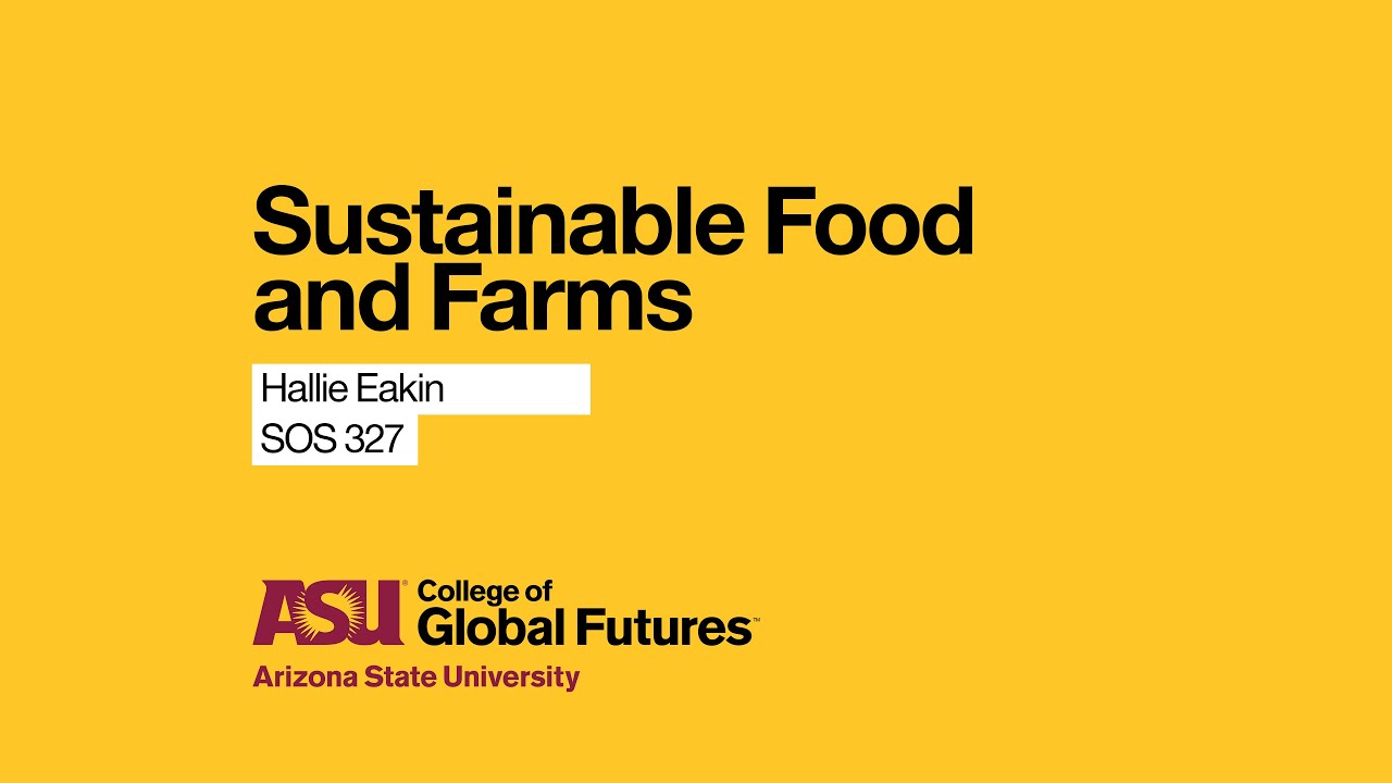 Finding Sustainability in Food