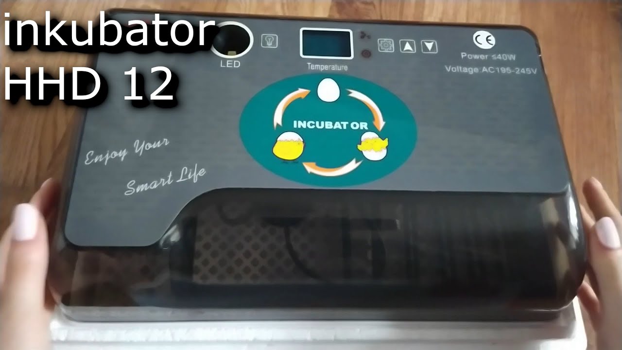 Inkubator HHD 12 jaj 2019