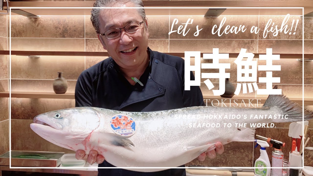 【鮭の捌き方】脂乗り最高！これが旬の時鮭（ときさけ）のさばき方。札幌の市場で目利きした6.8Kgの鮭を刺身、焼き鮭、お茶漬けにする！