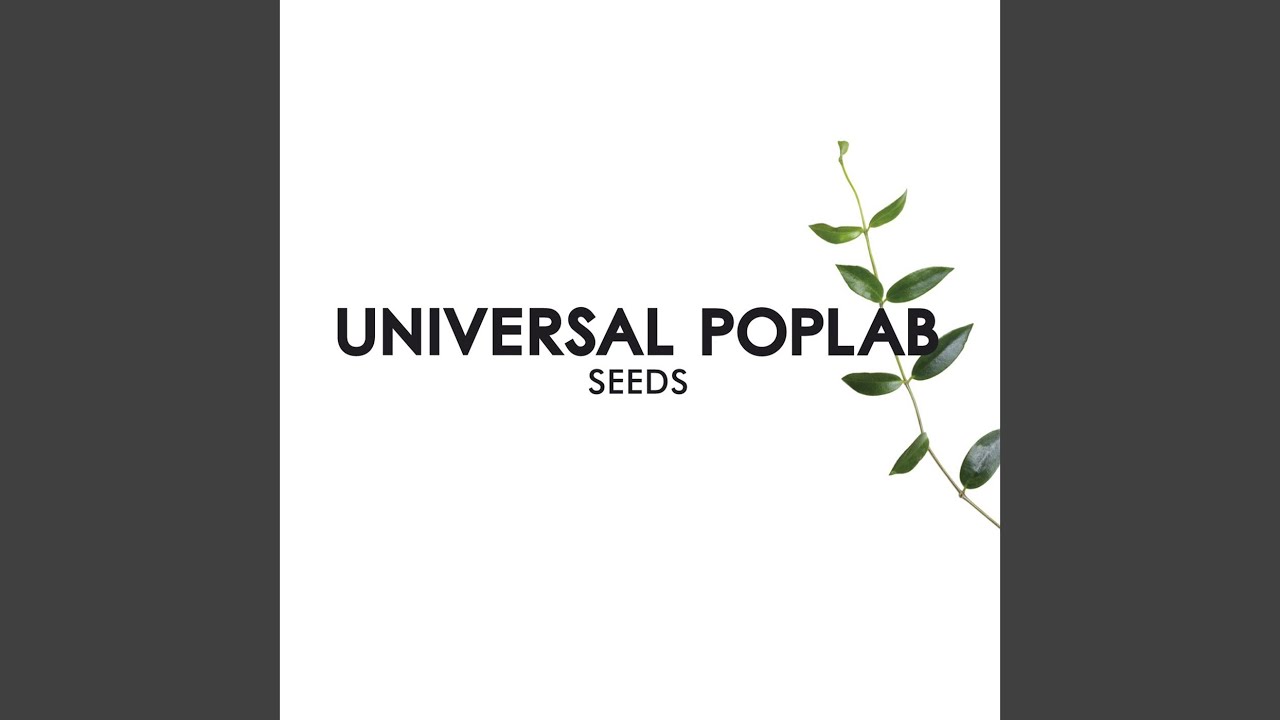 Don't Believe the Hype