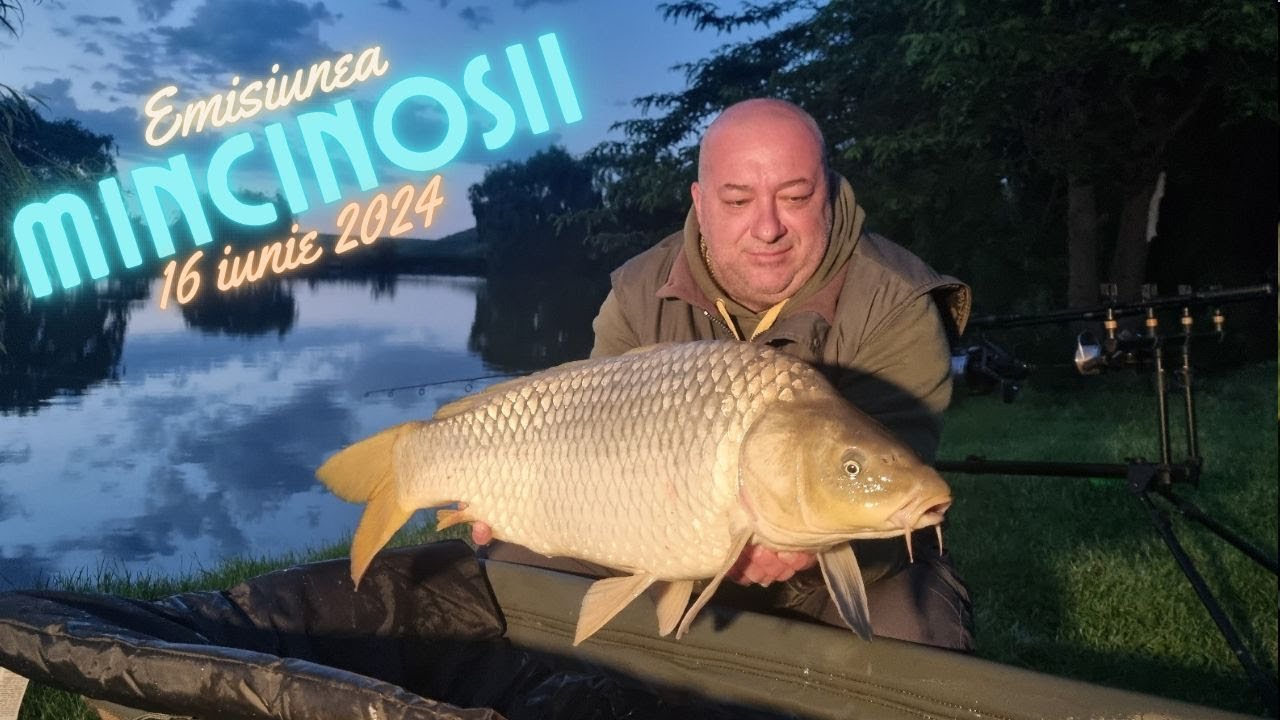 Mincinoșii - 16 iunie 2024