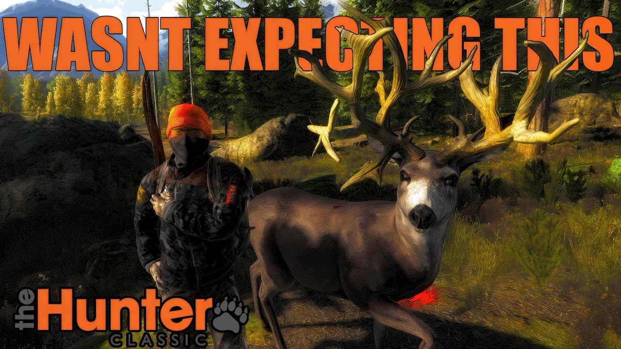 This Is Why I Came Back To TheHunter Classic!