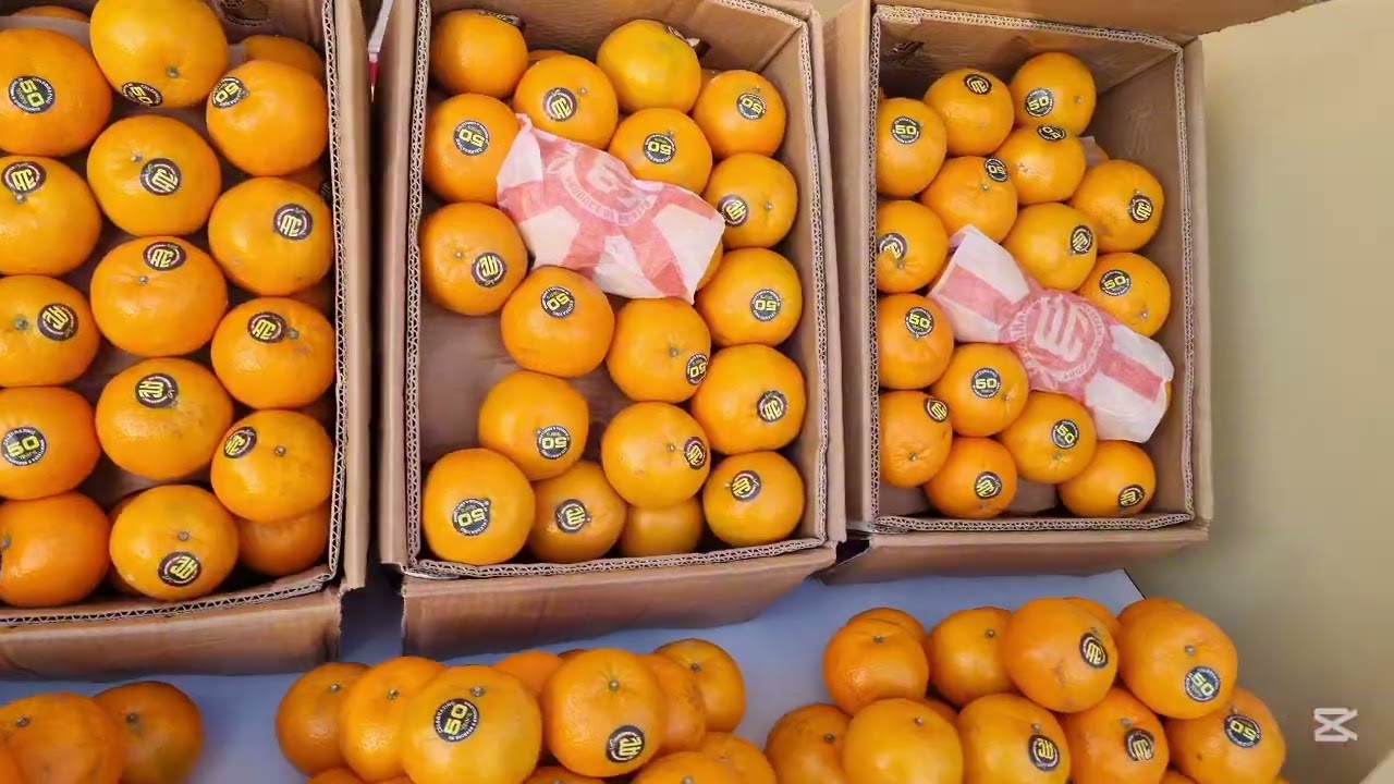 Citrus exhibition Qatar#sargodha#foodie 