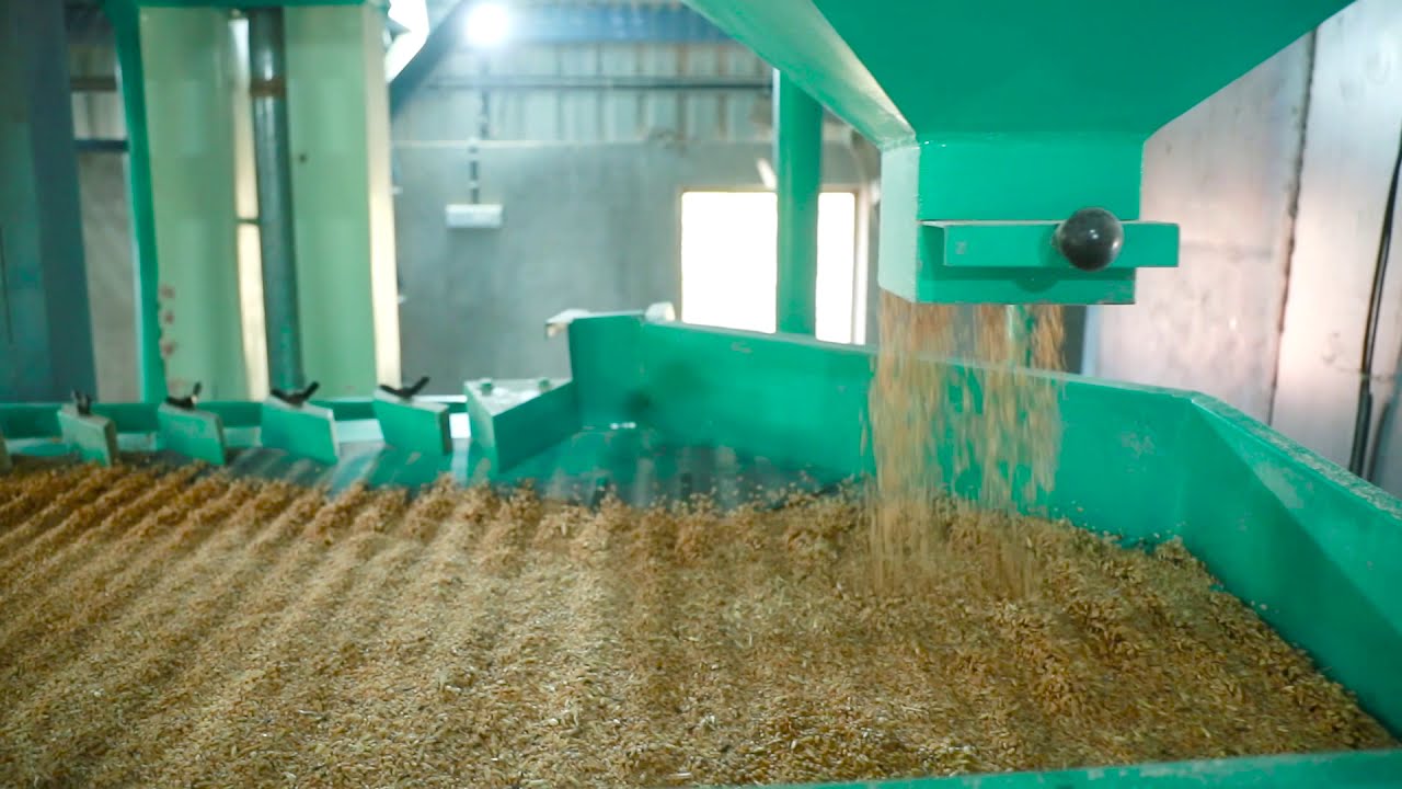Chakkit Atta Plant with Vibro Cleaning