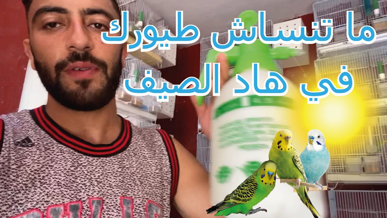 اجي تسمع بعض النصائح الخاطئة لي كي قولوها بعض الماليع