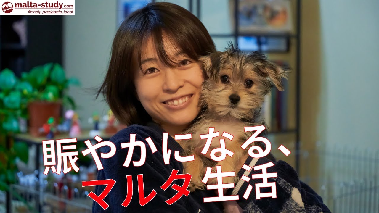 新しい家族が増えました／マルタ移住Vlog