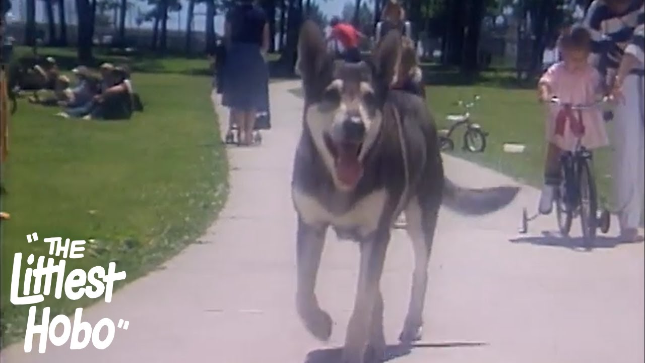 Boy on Wheels | The Littlest Hobo | Season 1 | Episode 10