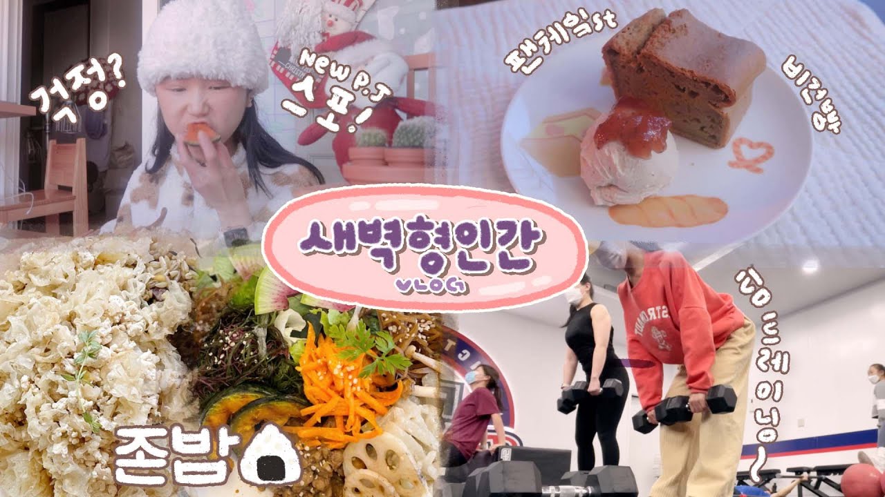 VLOG 스트레스와 멀어지는 방법 💭 뉴프로젝트 스포 🤫 (팬케잌맛 비건빵+왕맛 비건식당 발견+두부소보로덮밥+아이허브 언박싱하울) 먹방 브이로그