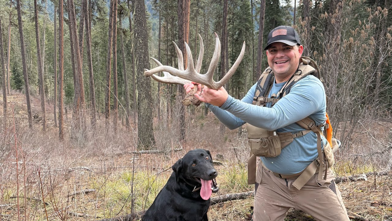 Idaho record shed hunting!!!