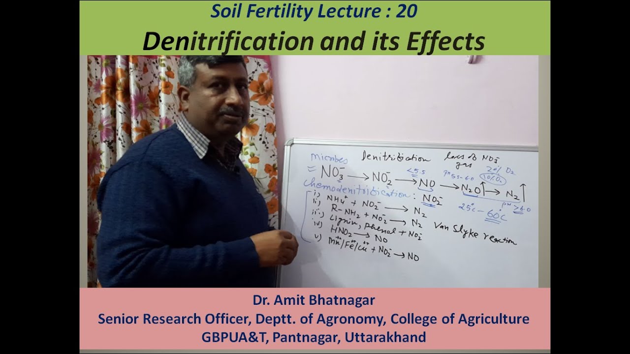 Denitrification and its Effects