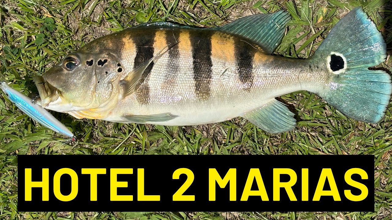 PESCARIA DE TUCUNARÉ NO HOTEL DUAS MARIAS#pesca