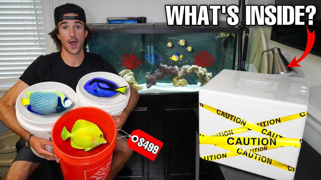 UNBOXING Expensive FISH SHIPMENT Full Of AQUARIUM FISH!!