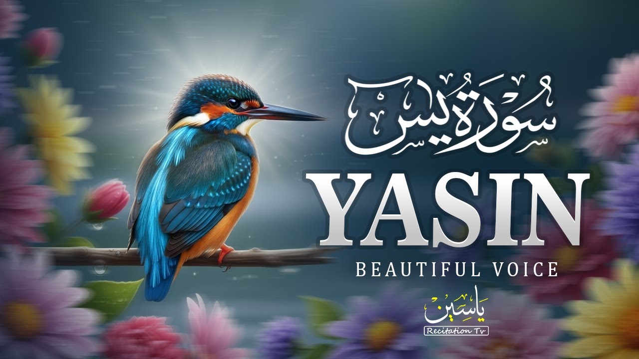  Every Morning 😌❤️ Sūrah Yasin Beautiful Quran 🕌🕋| EP.01| Relaxing recitation Surah yaseen #love   