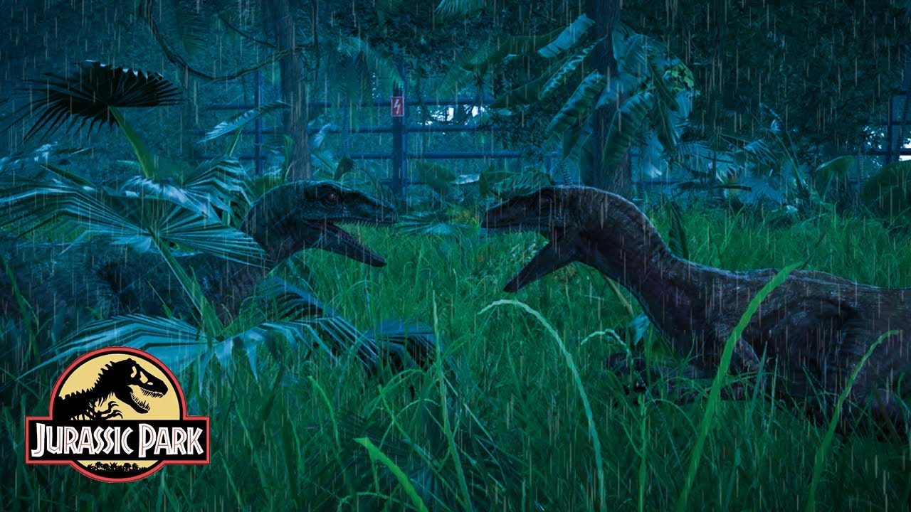 Relax with the sound of rain in the forest | Jurassic World | Dinosaur and Forest Sounds | T-Rex