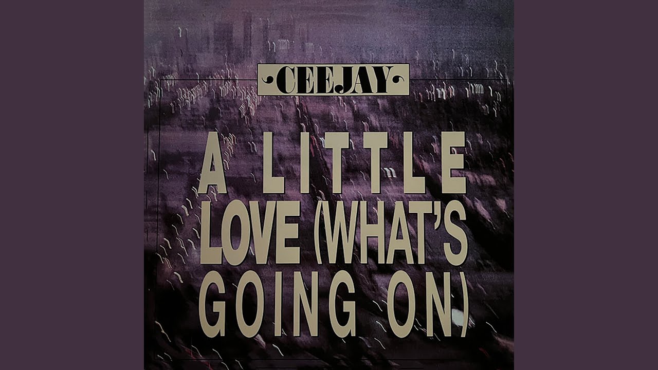 A Little Love (What's Going On) (Disconet Remix)