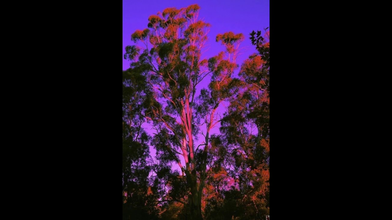 FREE ___Indigo___ GLAIVE x ALDN x FUNERAL x Alt Rock Hyperpop Type Beat [prod. Joe Tedesco]
