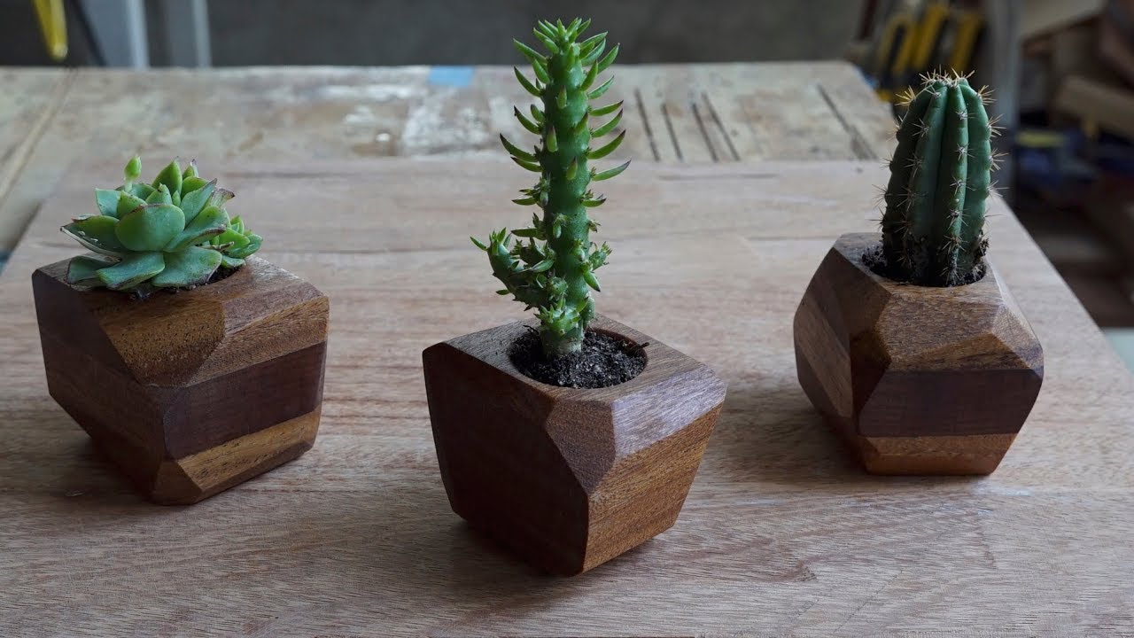 Cómo Hacer Macetas de Madera para Suculentas