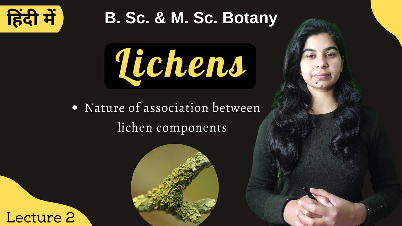 Lichens || Nature of association between lichen components || in Hindi || Botany || B. Sc. & M. Sc.