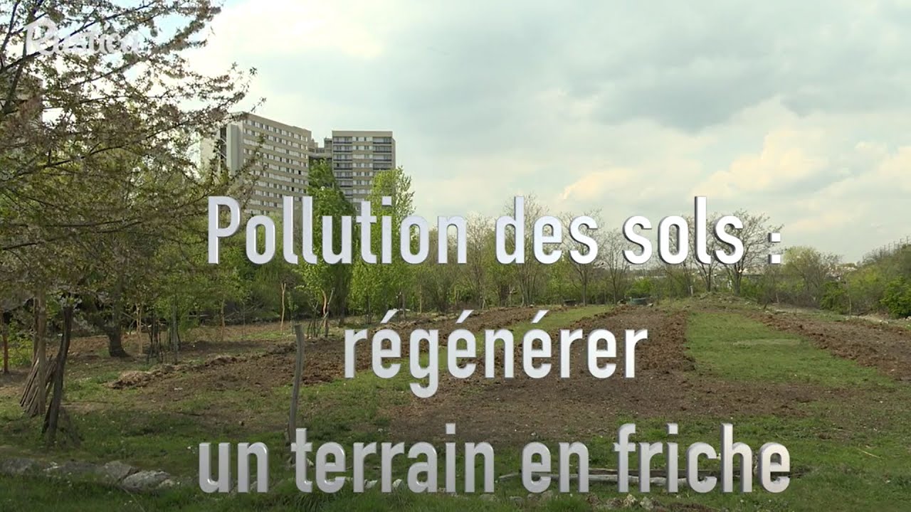 Comment réhabiliter une friche urbaine :  le travail sur sol pollué