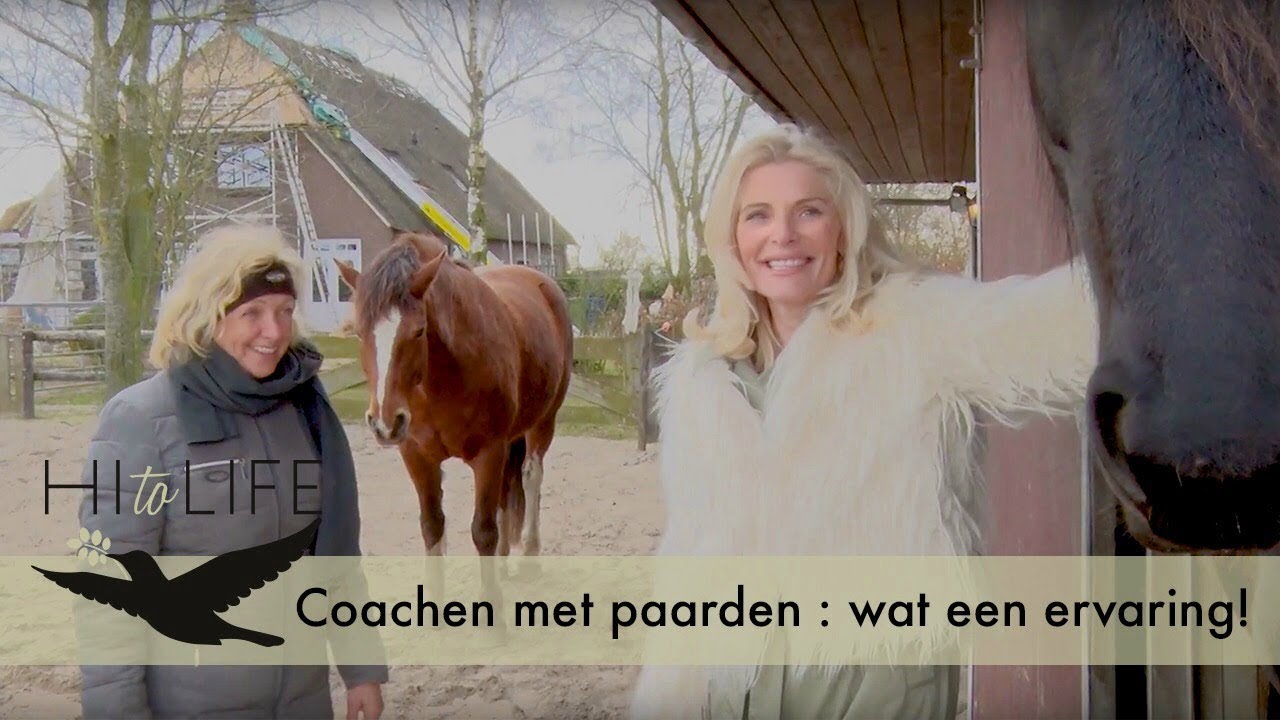 Systemisch coachen met paarden