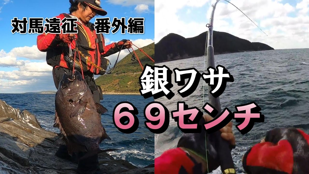 【石鯛釣り】対馬遠征　番外編　６９センチの銀ワサが来た！
