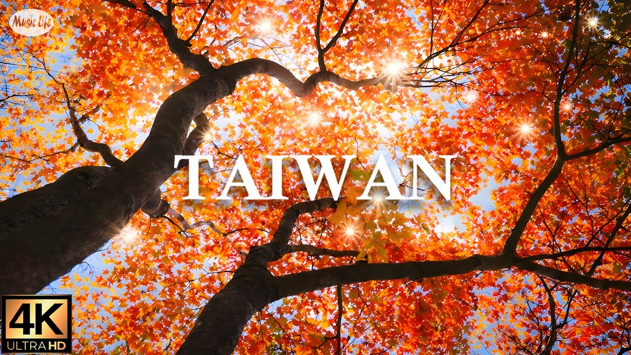台灣秋日風景🍃 南投杉林溪 台中福壽山秋楓 台東池上稻田秋收山雲海空拍 秋天抒情鋼琴曲 Beautiful Autumn Scenery in Taiwan  Relaxing Piano Music