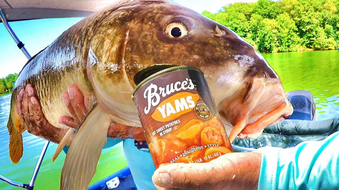 Простой способ поймать кучу карпов! (Они просто не смогут устоять перед этой наживкой!)