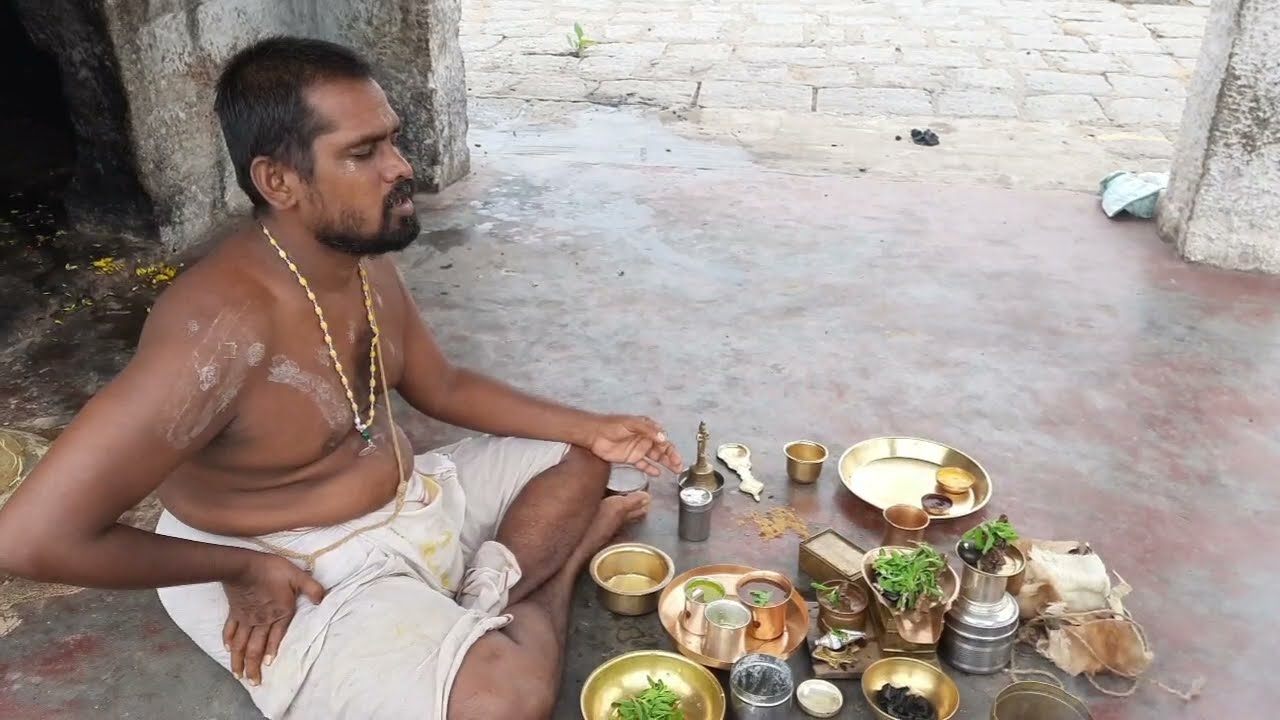 Nava Brindavana 