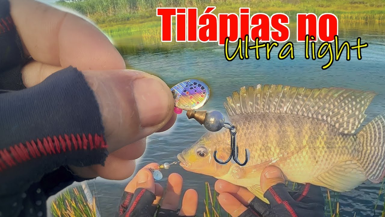 pesca de Tilápias selvagens no ultralight e isca artificial