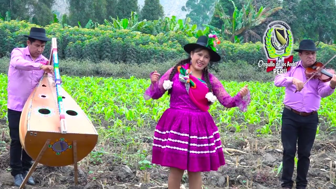 CHINITA DE AYMARAES ⏭  SANTUYQUIPI // primicia 2022 % arpa y violín