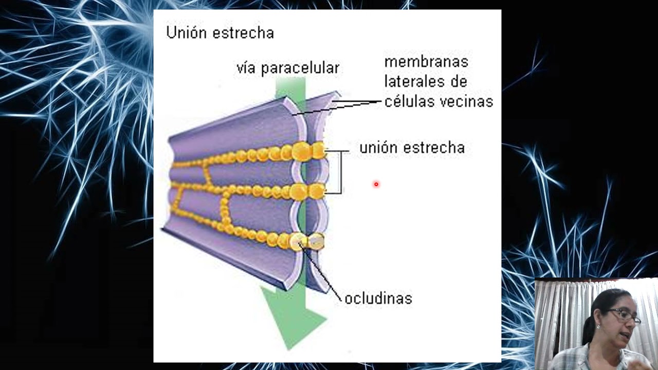 UNIONES CELULARES (COMUNICACI&Oacute;N CELULAR DIRECTA)