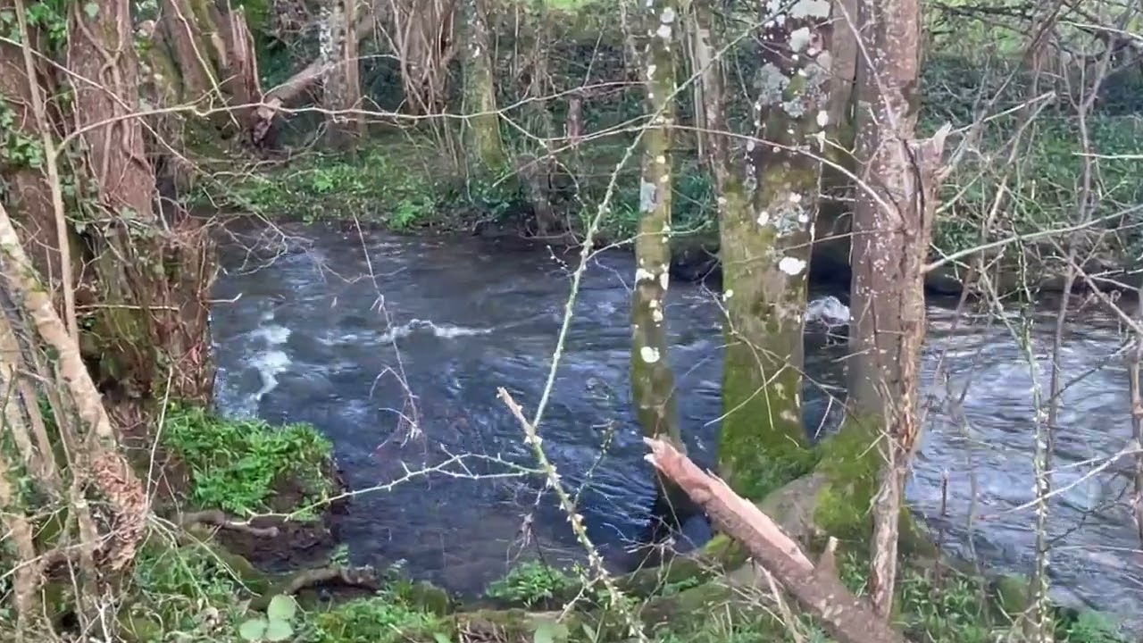 Flowing. Stream #34