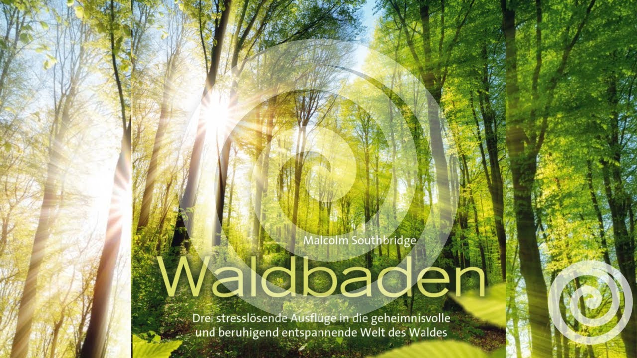 Waldbaden: Kl&auml;nge der Natur von Malcolm Southbridge (RelaxLounge.TV)