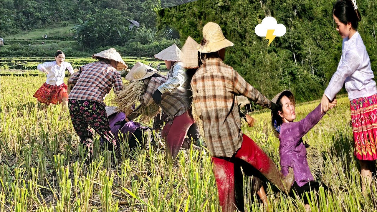 A terrible day for my mother and me | Nhung's daily life
