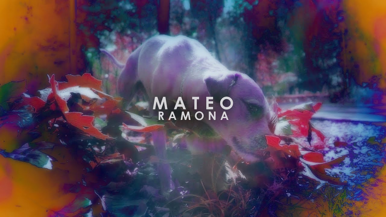 Ramona - Mateo
