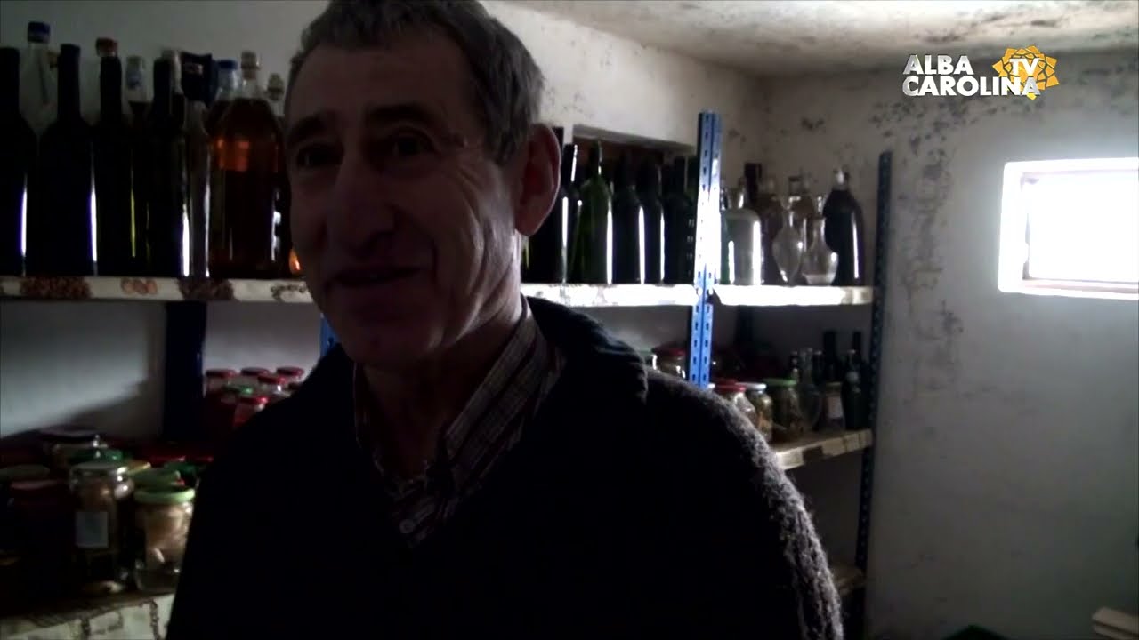Au lăsat orașul pentru Bistra