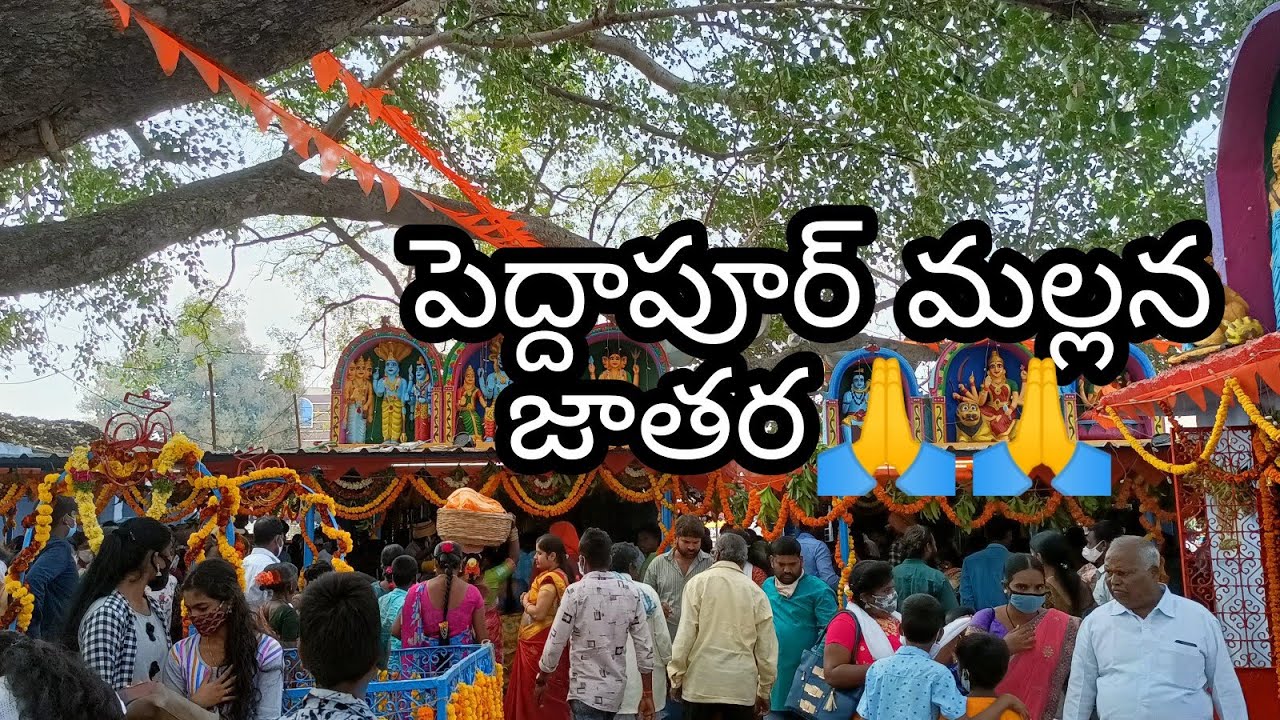 పెద్దాపూర్ మల్లన జాతర