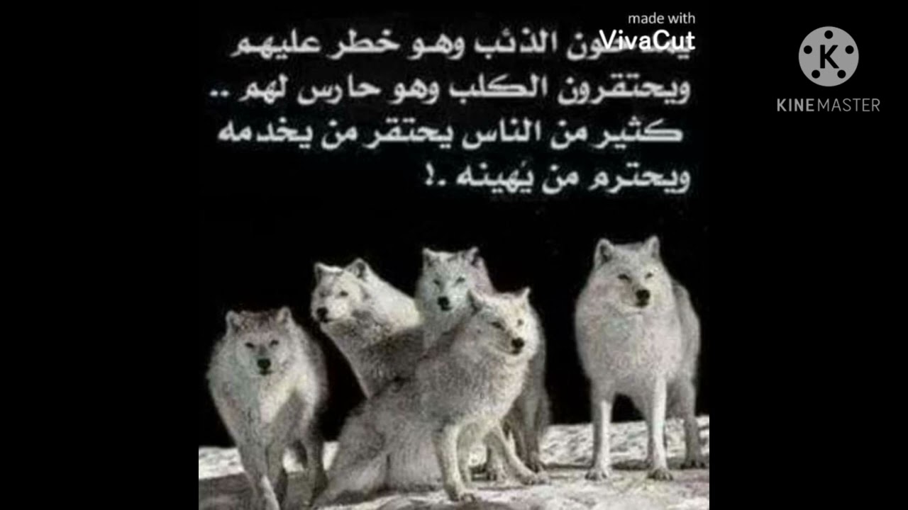 حدي بحق فرحان السلامي الذي لهو الكثير من المواقف التي يعجز عنها الكلام ومحارب من اقرب الاشخاص له