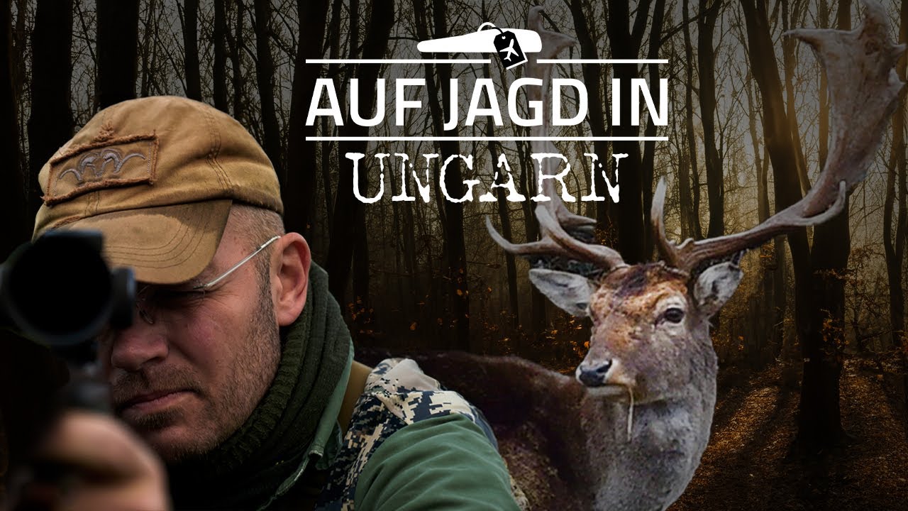 Die Jagd nach den Abnormen Damhirschen | J&Auml;GER mit Chris Balke zur Brunft