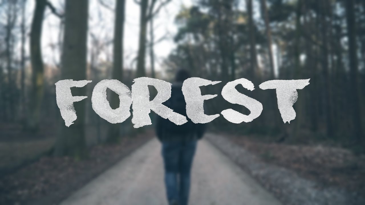 Forest - one minute cinematic film - shot on sony a6500